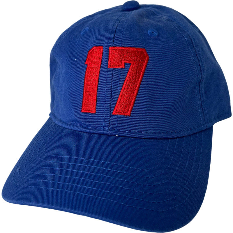17 Baseball Hat
