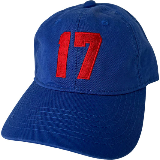 17  Baseball Hat