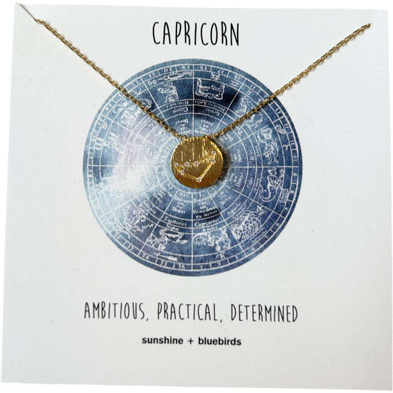 Zodiac Capricorn Necklace