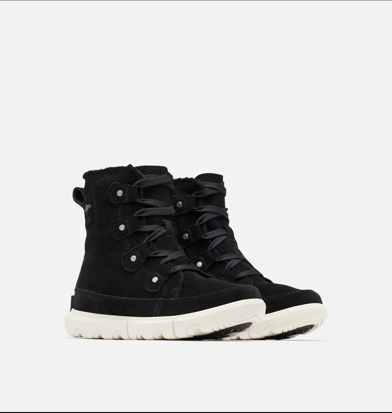 Explorer Next Joan Wp in Black