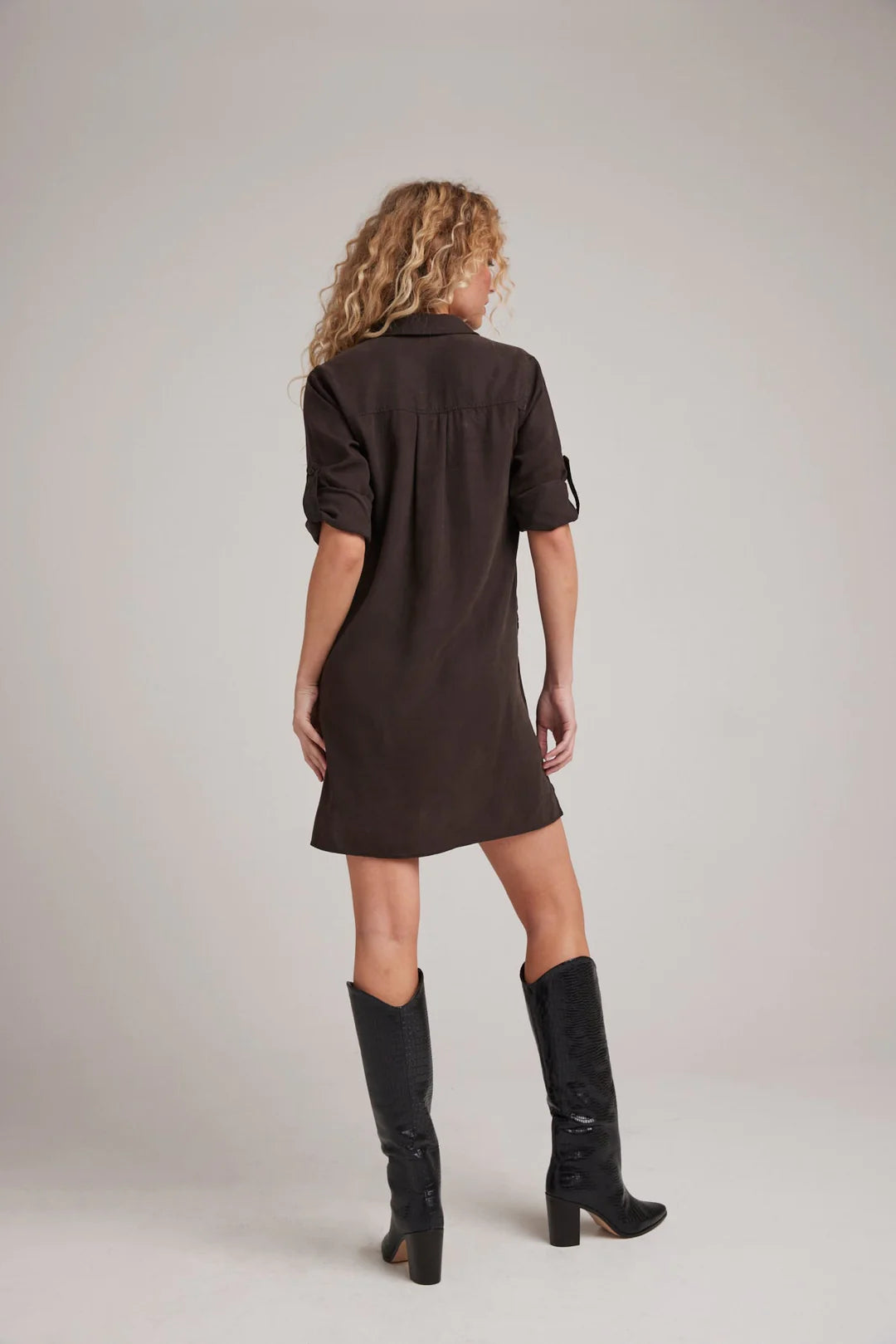Long Sleeve A-Line Dress in Quartz Brown