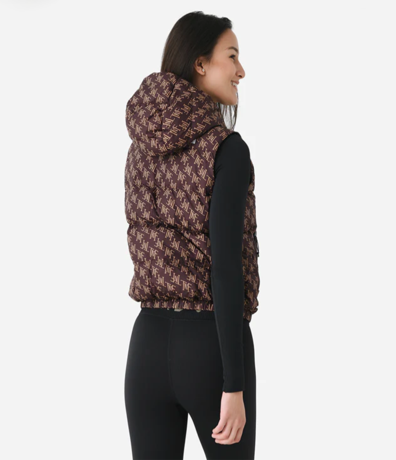 Hydrenalite Down Vest Coal Brown