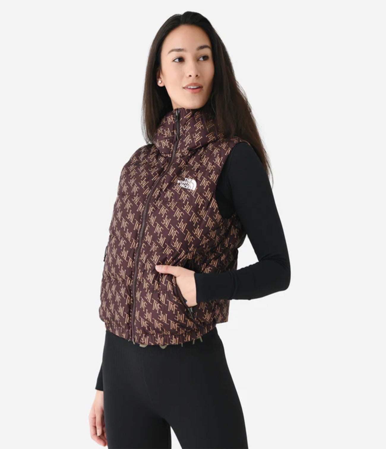 Hydrenalite Down Vest Coal Brown