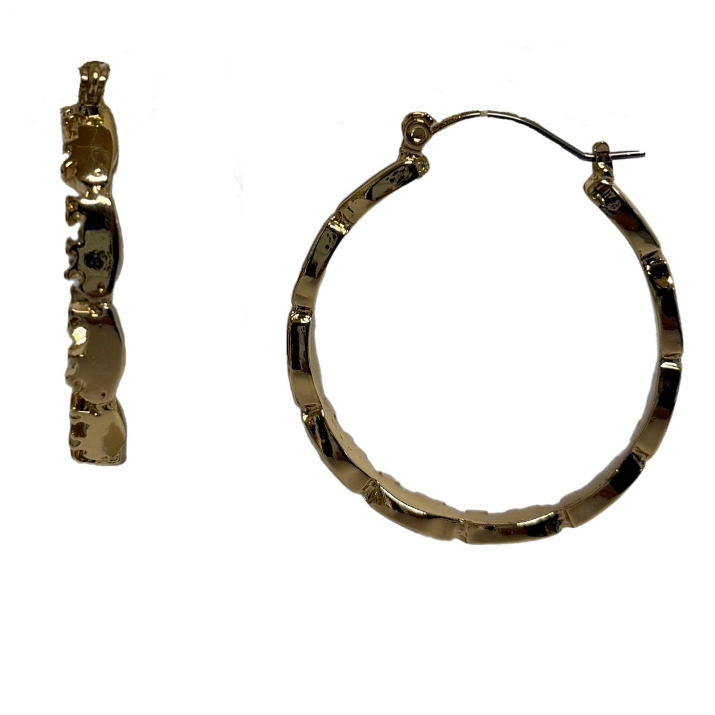 Buffalo Hoop Earring