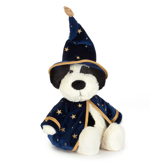 Rufferty Puppy Wizard Outfit